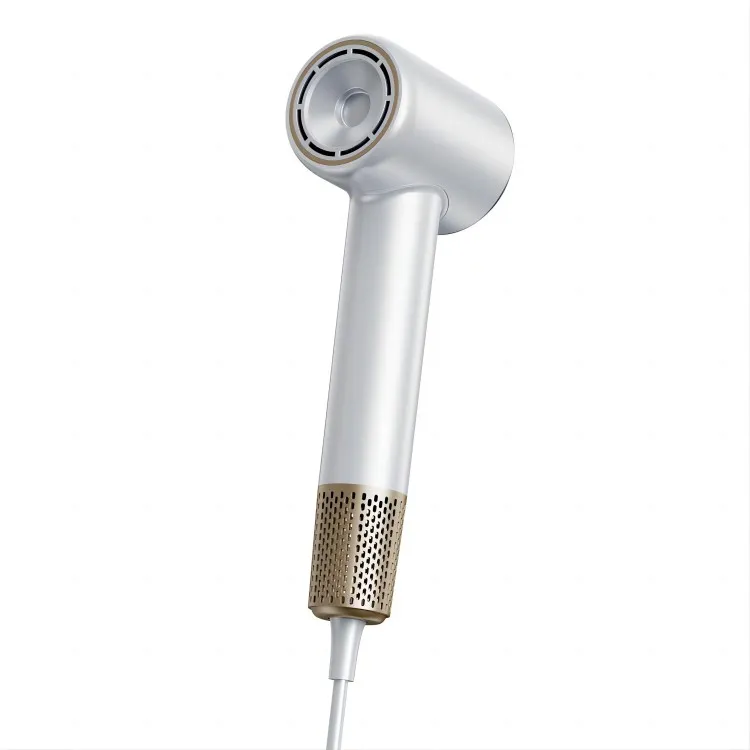 Profesjonell personlig hårføner